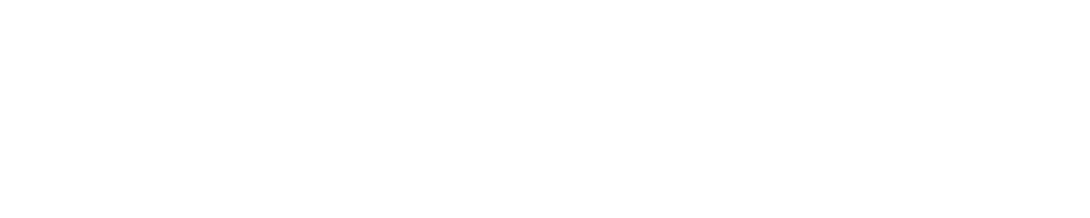 HKUBS IBDS