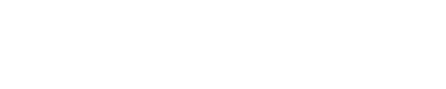 IBDS